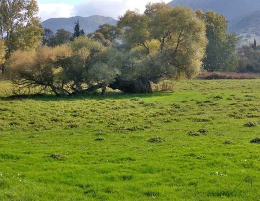 Land for sale in Voula, Athens. ID A3-1840