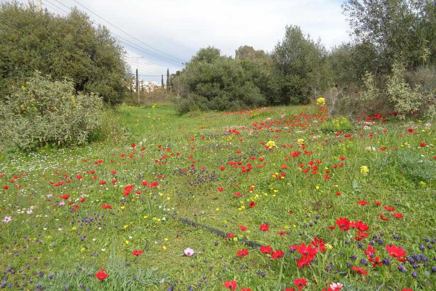 Glyfada Land for sale. ID A3-1831