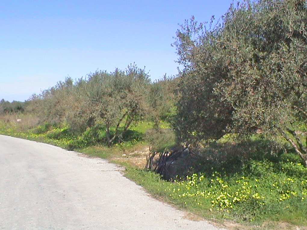 Plot for sale in Glyfada Athens. ID A3-1827