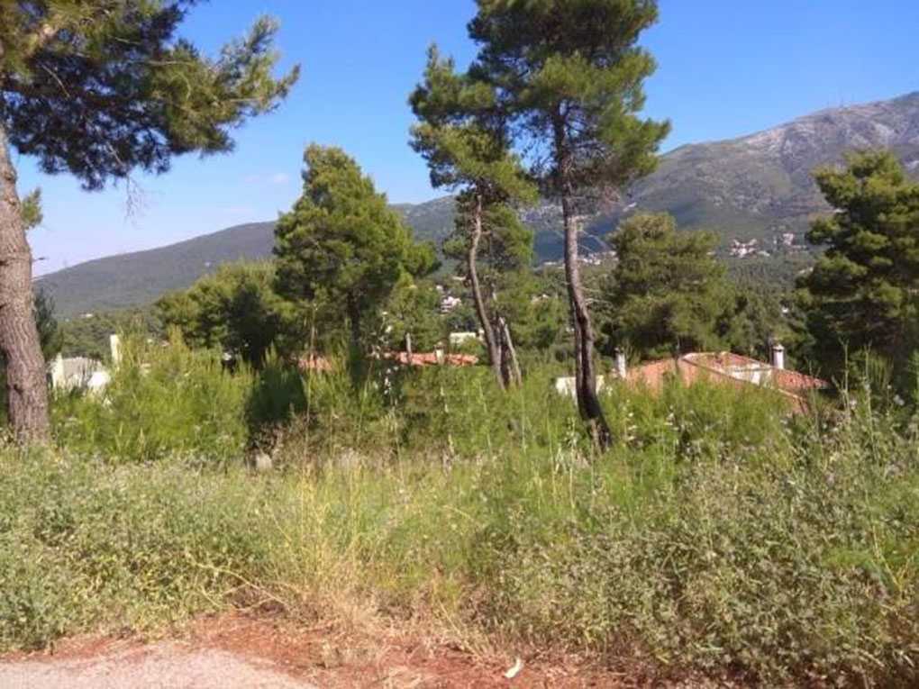 Land for sale in Dionysos Attica. ID A3-1828