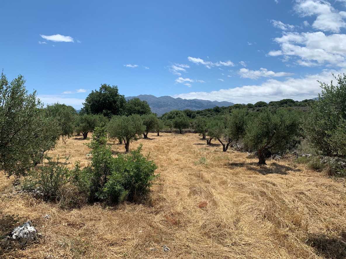 Land for sale in Vamos  ID 03-1825