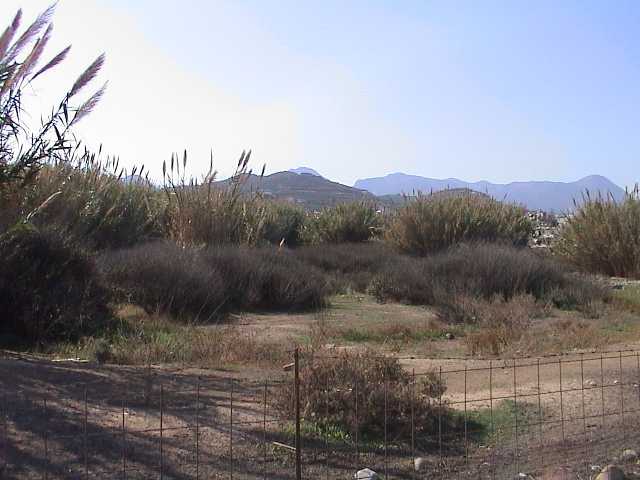 Plot for sale in Ekali Athens. ID A3-1815