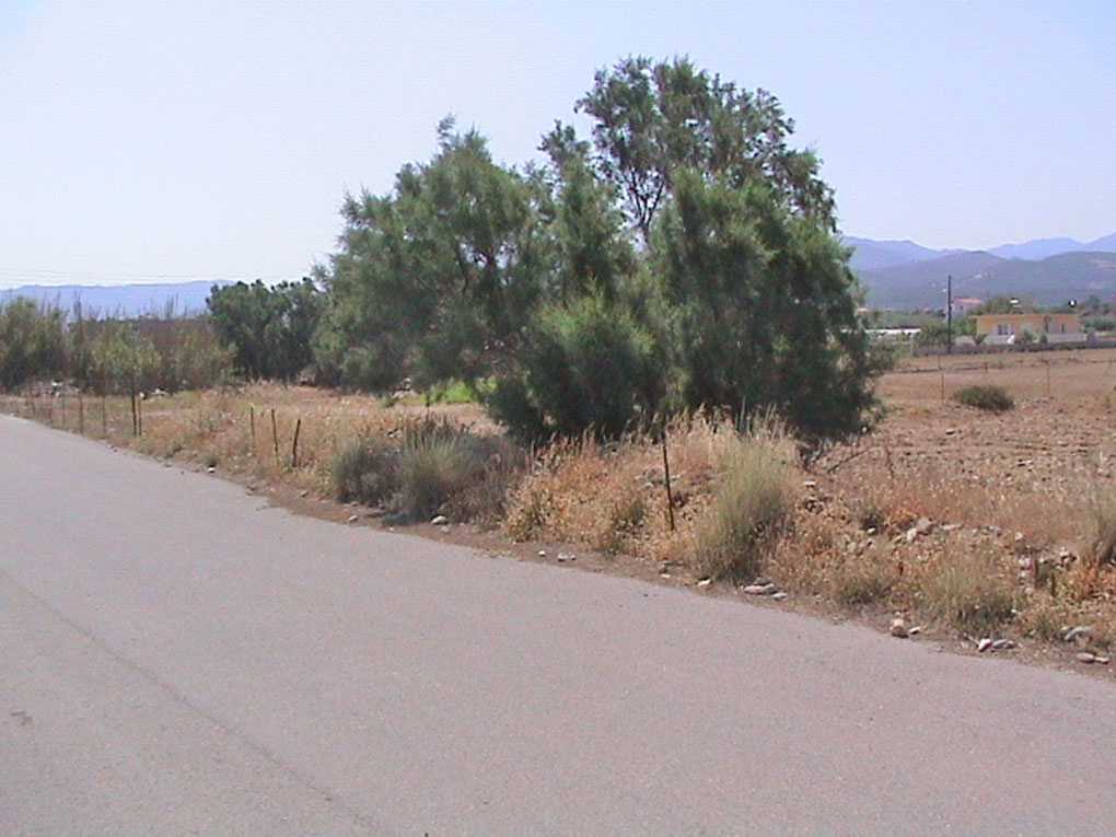 Land for sale in Dionysos. ID A3-1806