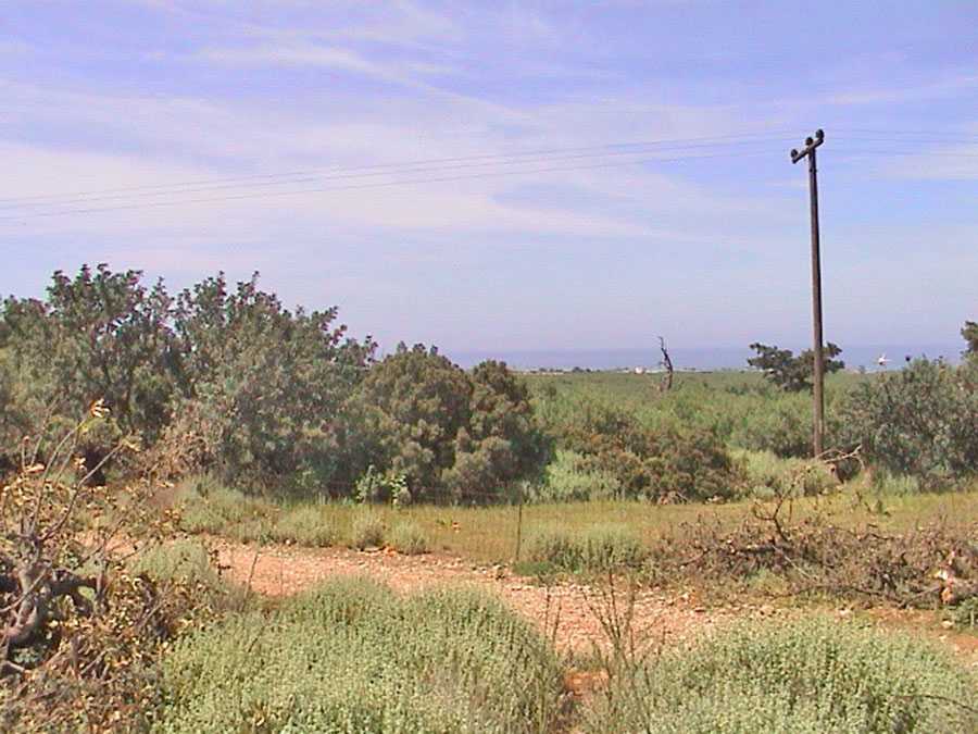 Drosia Plot for sale, Athens. ID A3-1810