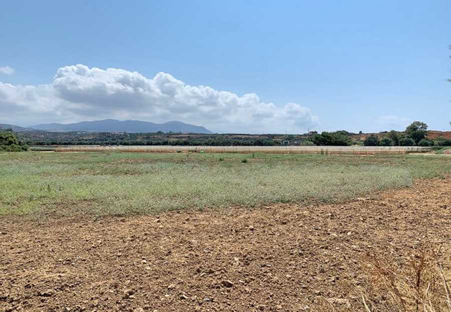 Land for sale in Dionysos Athens. ID A3-1807