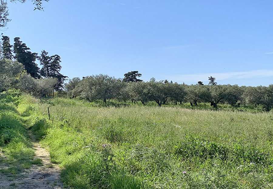 Ekali Plot for sale, Athens. ID A3-1814