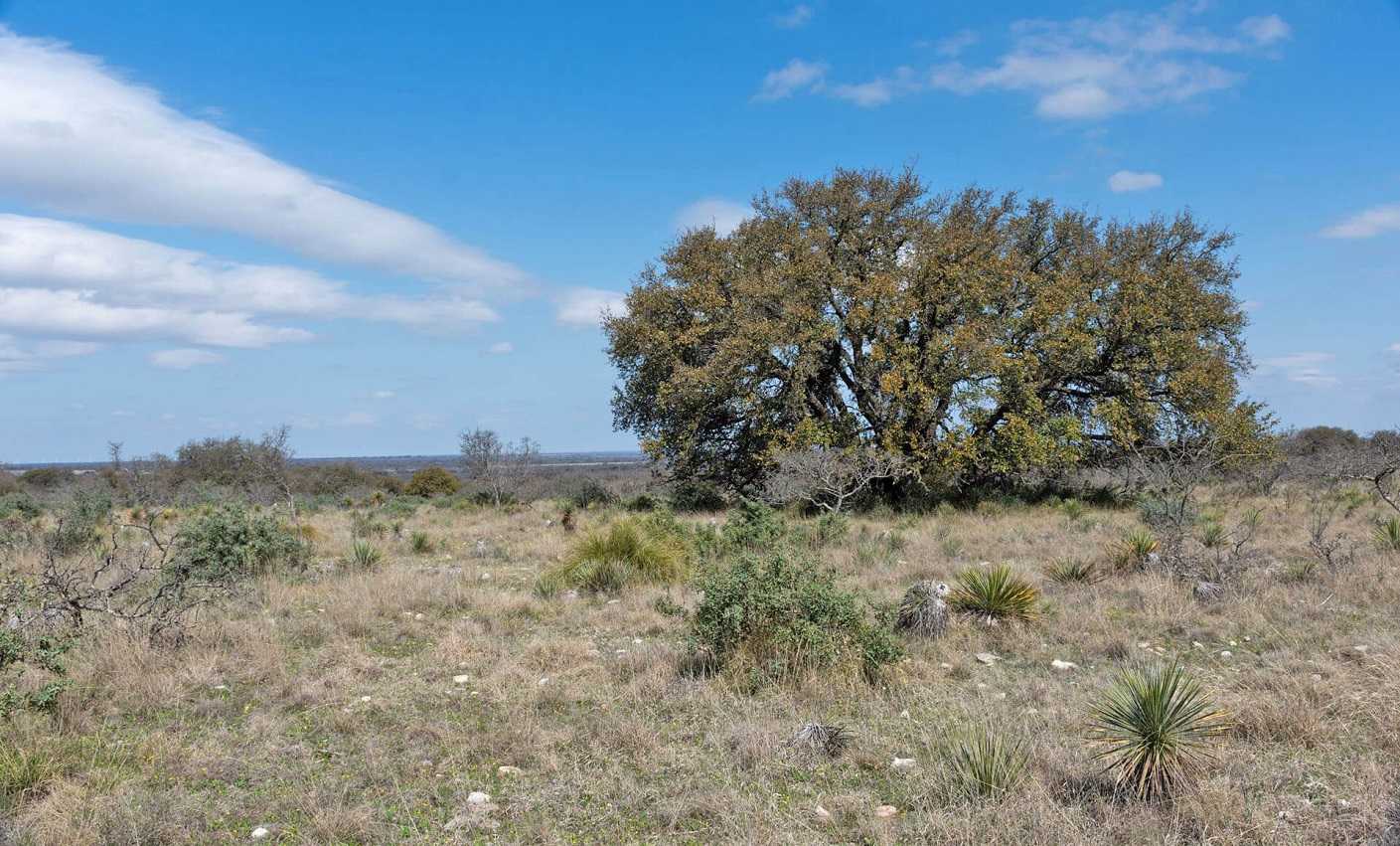 Land for sale in Drosia Athens. ID A3-1809