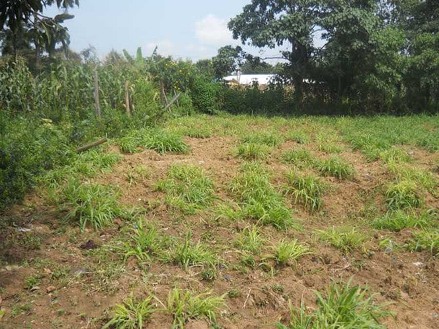 Land for sale in Kifissia Athens. ID A3-1799