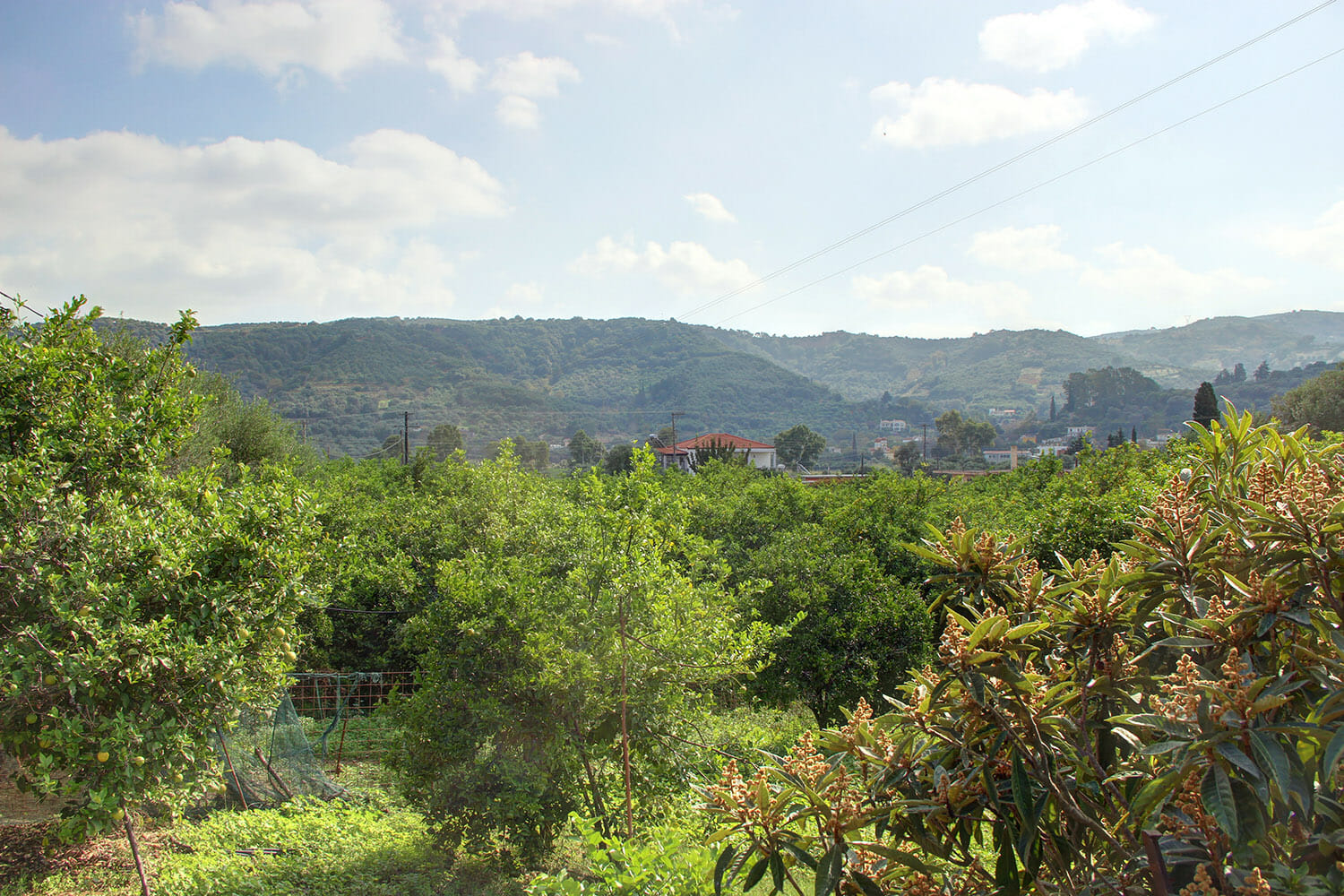 Plot for sale in Voukolies Chania ID 03-1819