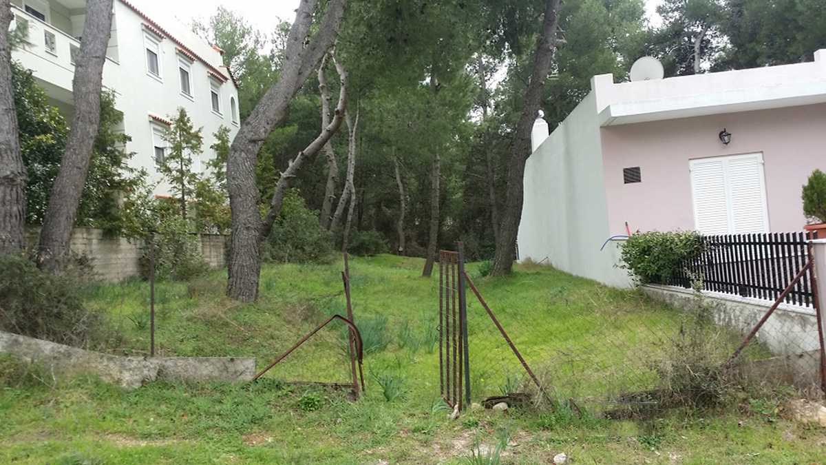 Land for sale in Anixi, Athens. ID A3-1777