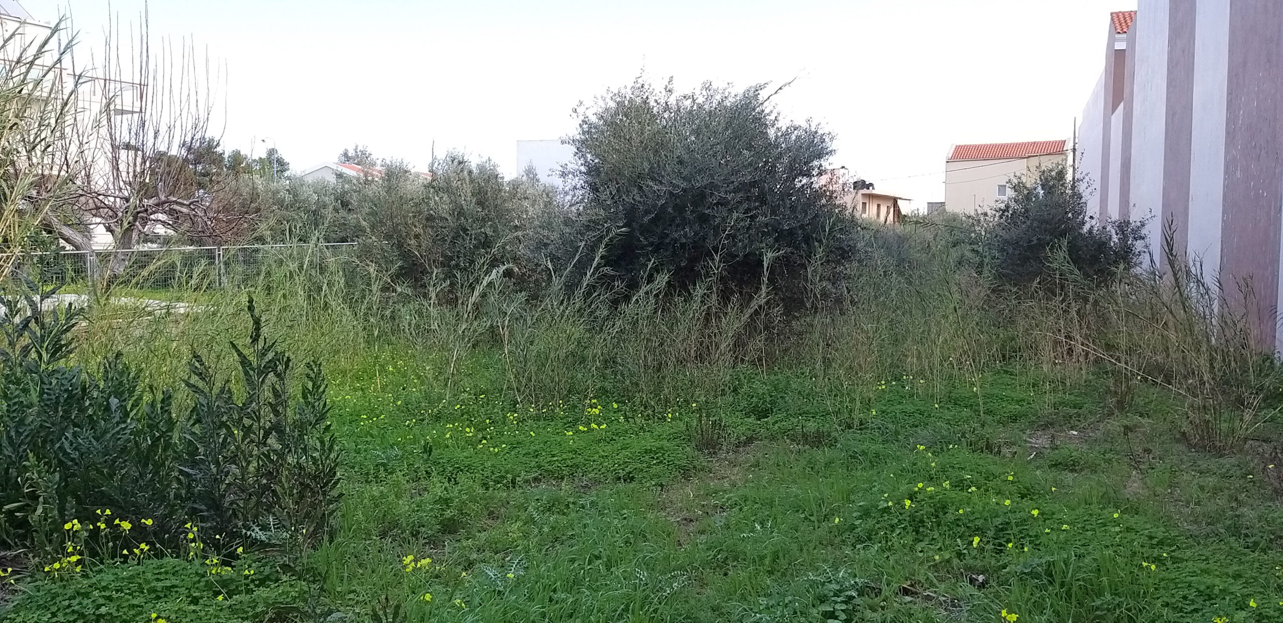 Plot for sale in Nea Kydonia, Chania. ID 03-1741