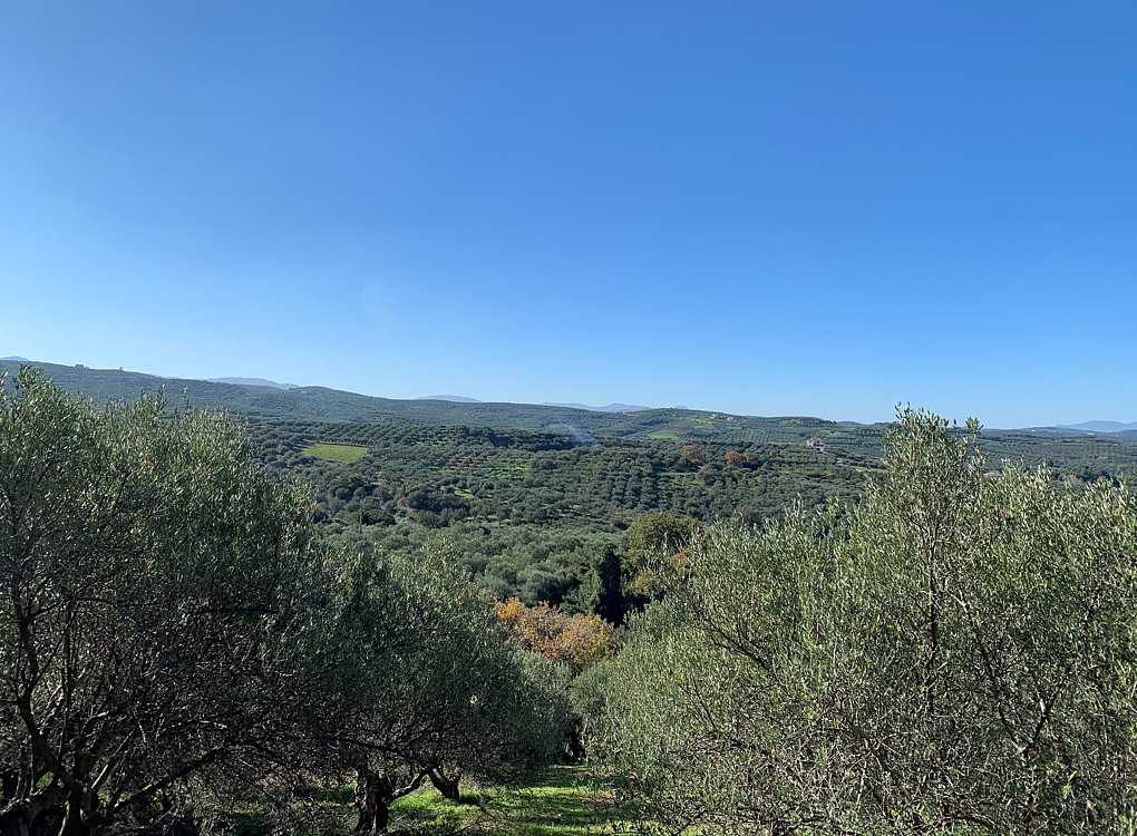 Plot for sale in Platanias, Crete. ID 03-1728