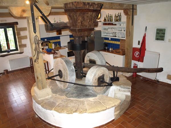 Crete traditional villa for rent. ID 001-563