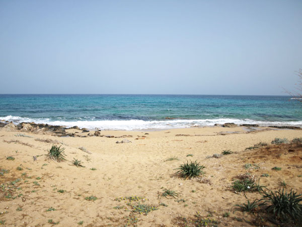 Seafront apartment for rent in Crete. ID 001-596