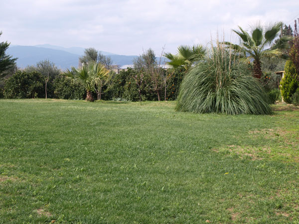 Real estate rentals in Greece. ID 001-323