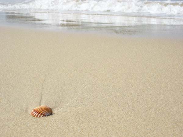 Beachfront property for sale in Crete. ID 03-1514