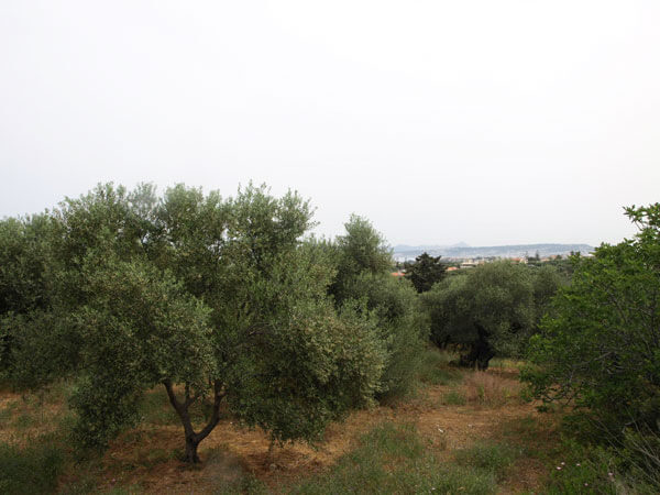 Plot for sale in Crete. ID 03-1512
