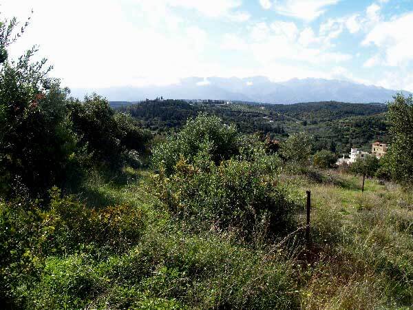 Land Property Crete. ID 03-1281