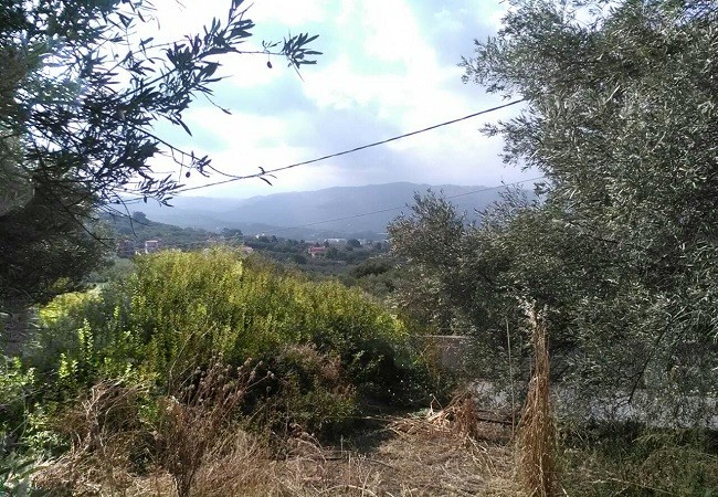 Land for sale in Chania. ID 03-1678