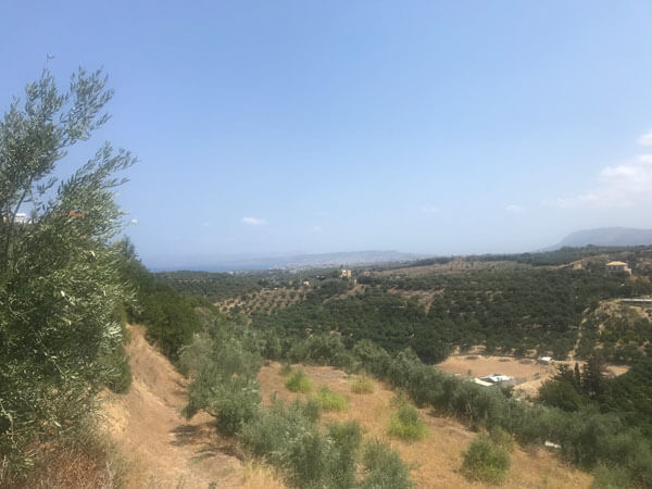 Land for Sale in Crete. ID 03-1616