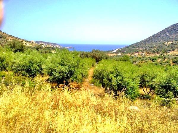 Crete Real Estate Rethymno. ID 13-305