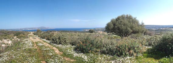 Great spot for new residential development. ID 03-538