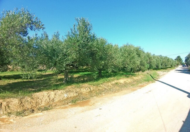 Land for sale in Platanias, Chania. ID 03-1708