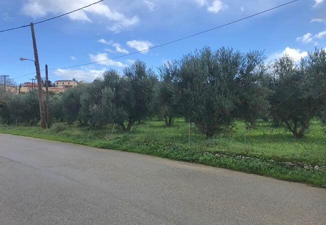 Plots for sale in Crete. ID 03-1632