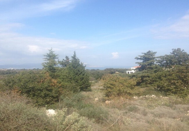 Plot for sale in Vamos. ID 03-1625