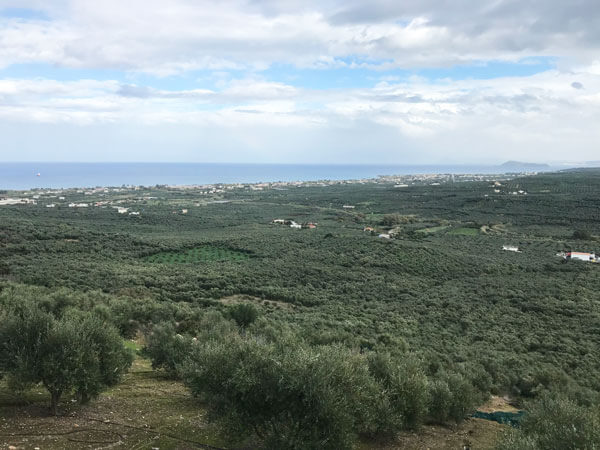 Crete land for sale. ID 03-1575