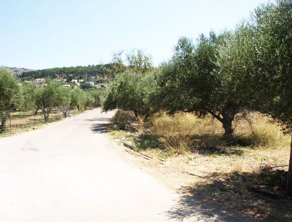 Land in Crete. ID 03-1561