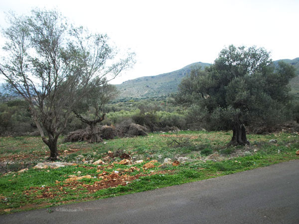 Crete plot for sale. ID 03-1492