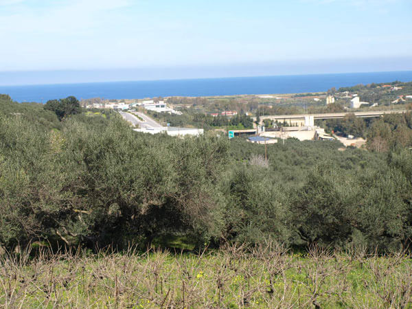 Crete property. ID 03-1428