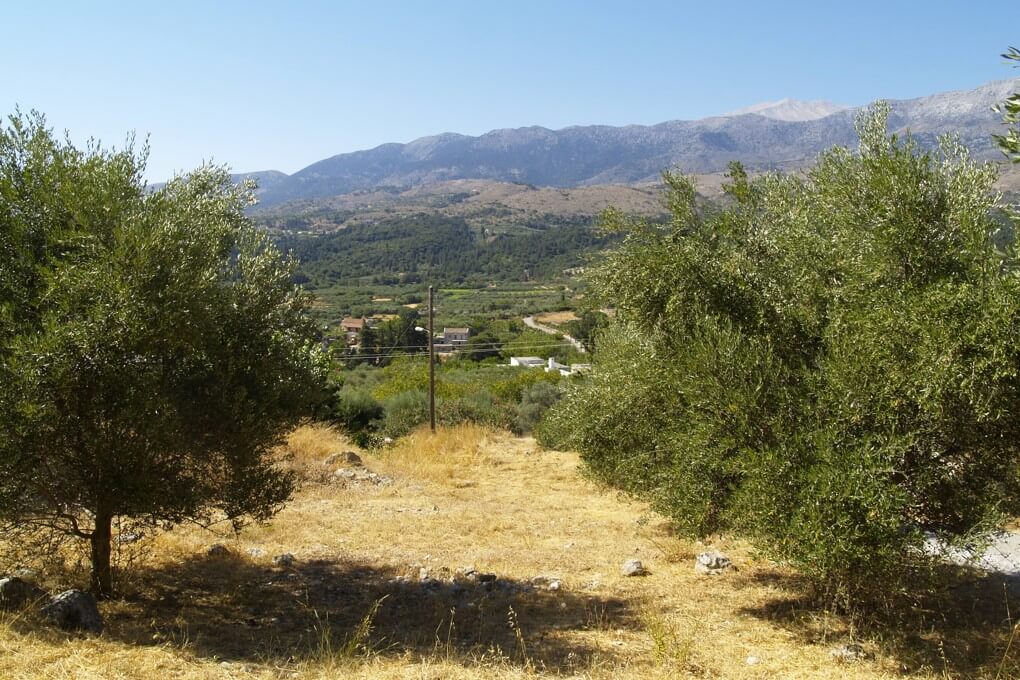Land in Crete. ID 03-1371