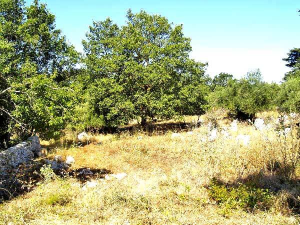 Crete Land for sale. ID 03-1326