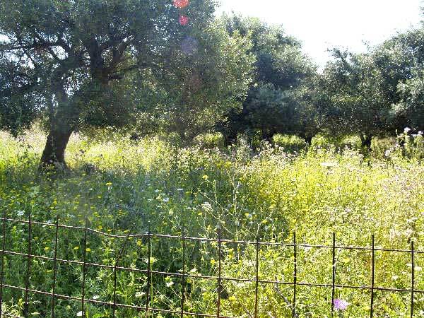 Building Land Crete. ID 03-1325