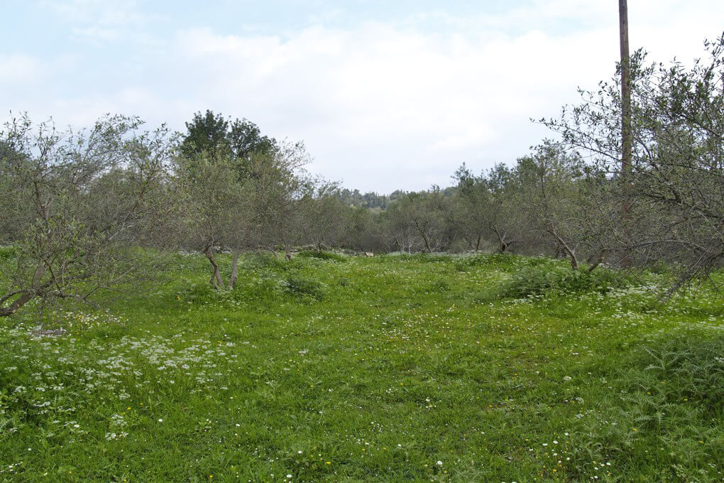 Crete Plots for sale. ID 03-1311