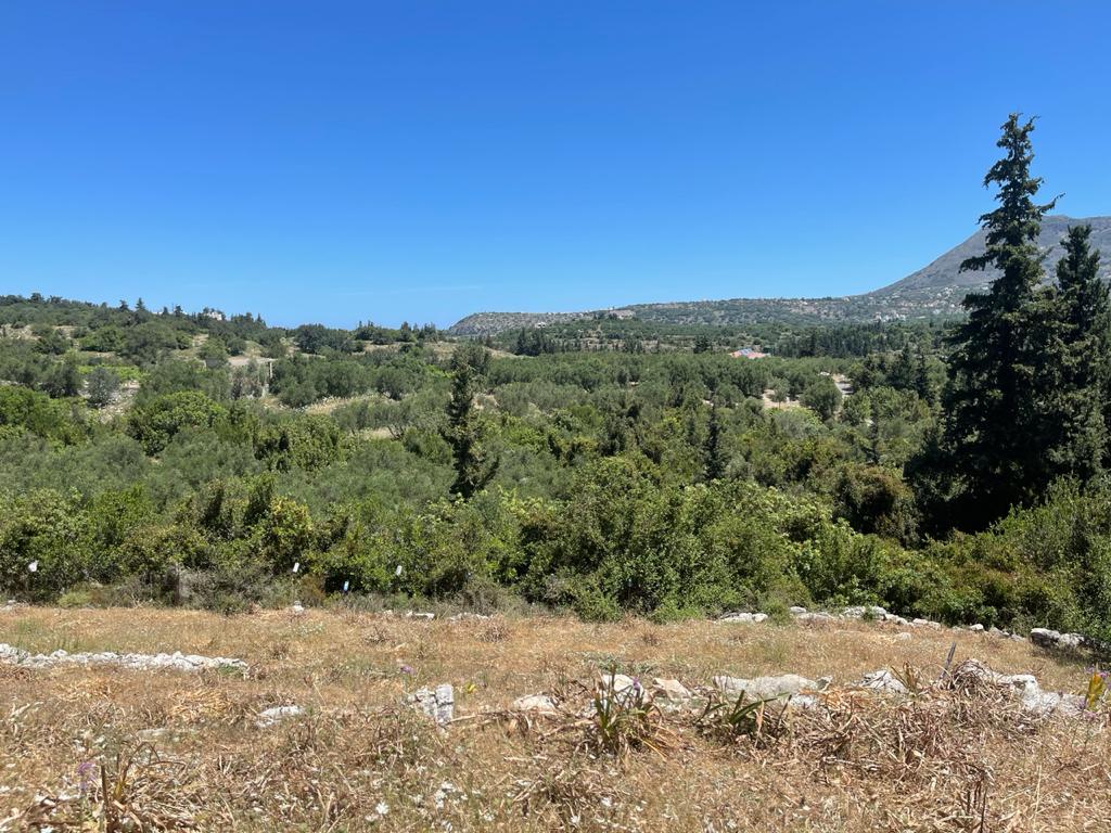 Mountain View Property. ID 03-1305