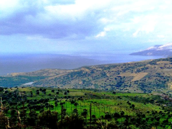 South Crete Property. ID 13-312