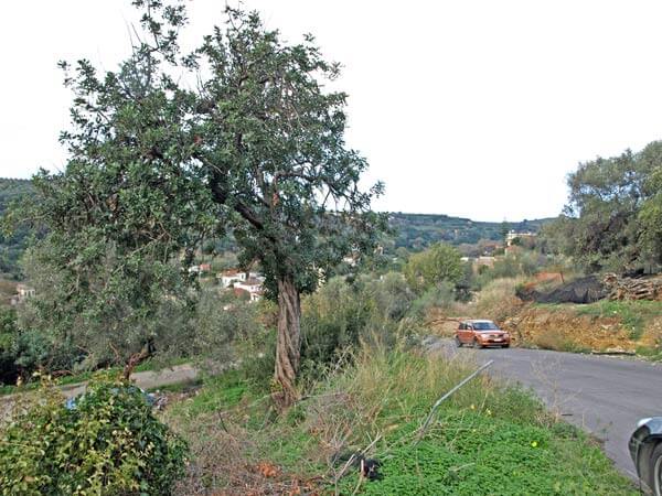 Crete bargain property. ID 03-1286