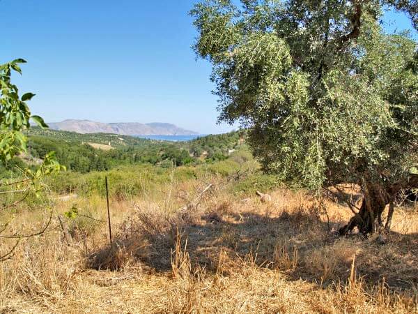 Crete Land Property for sale. ID 03-1267