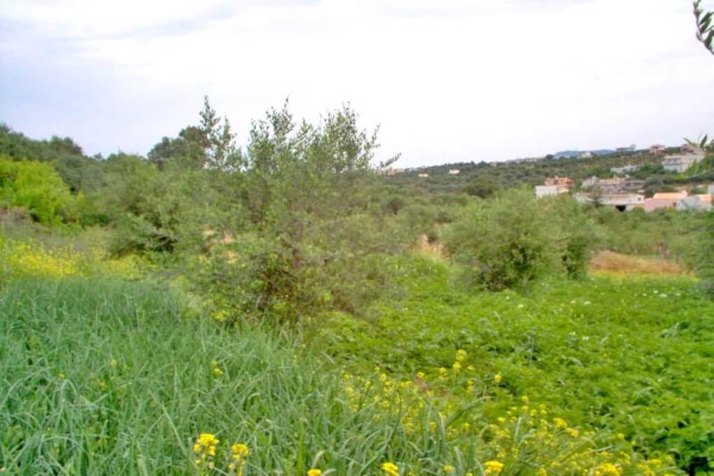 Crete Building Land for sale. ID 13-297