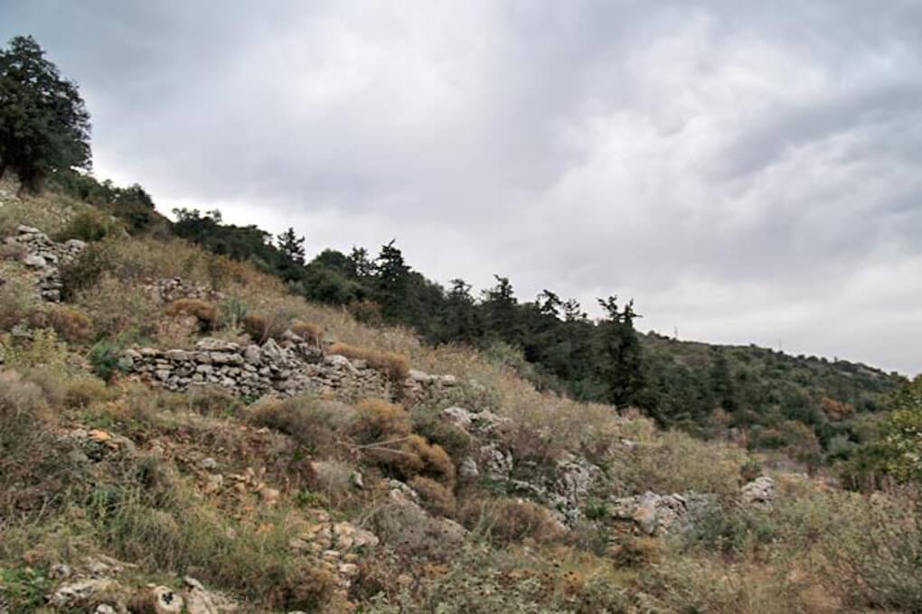 Land Property in Crete for sale. ID 03-1190