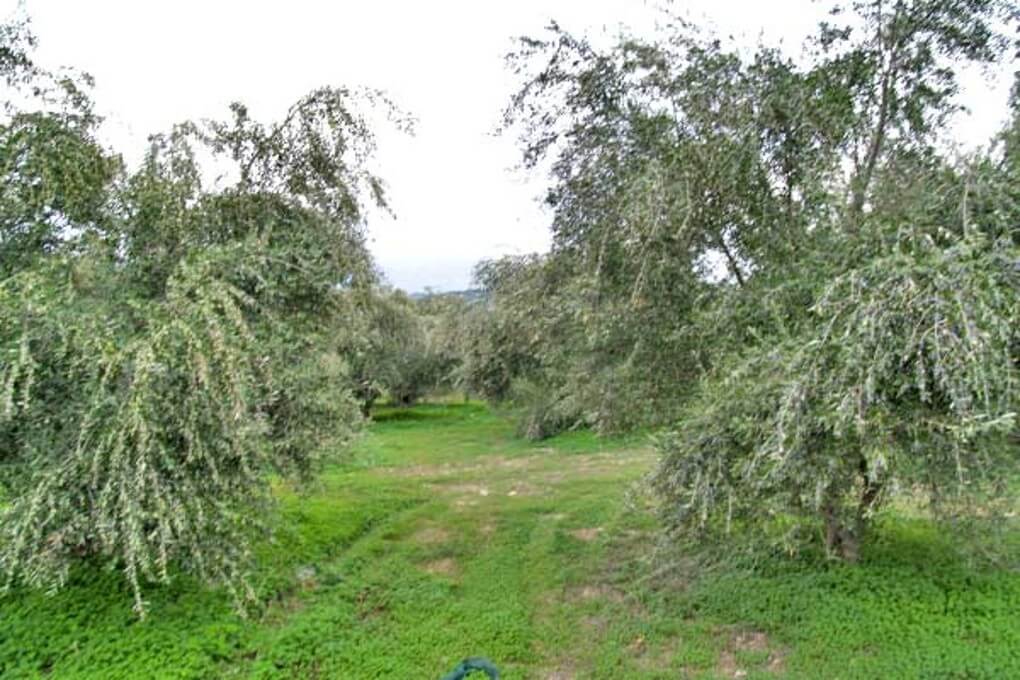 Crete Residential Land for sale. ID 03-1188