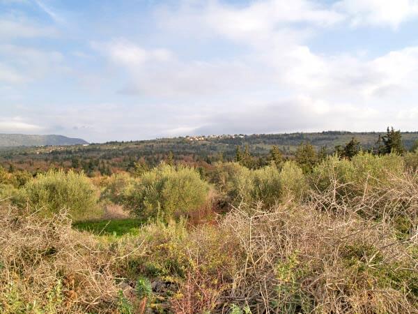 Land for construction in Crete for sale. ID 03-1116