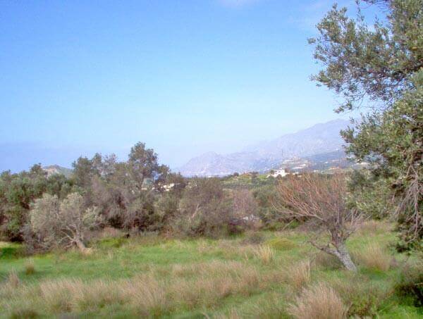 Land property for sale in Crete. ID 13-285