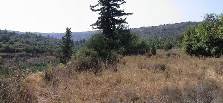 Plot on a small hill in Apokorona. ID 03-374