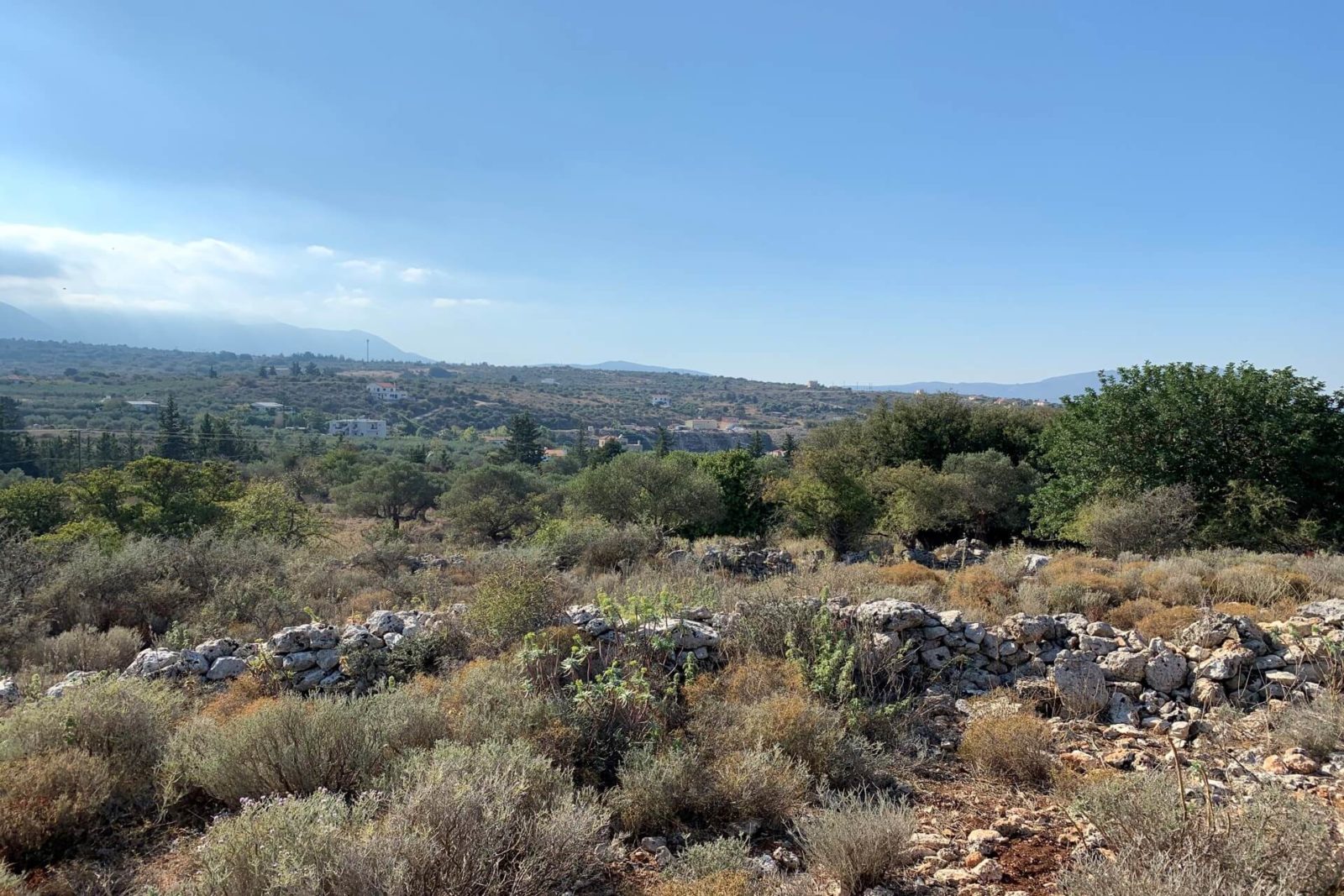 Panoramic plot for sale at the hills of Apokoronas. ID 03-1694