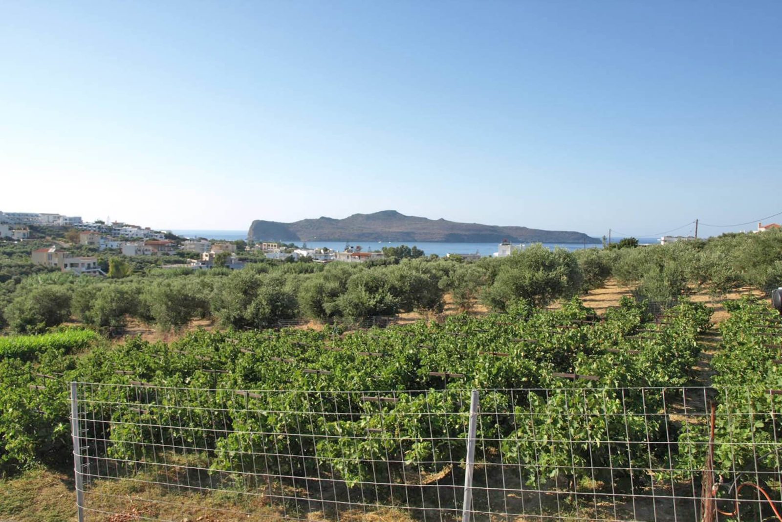 Land for sale in Crete. ID 03-1557