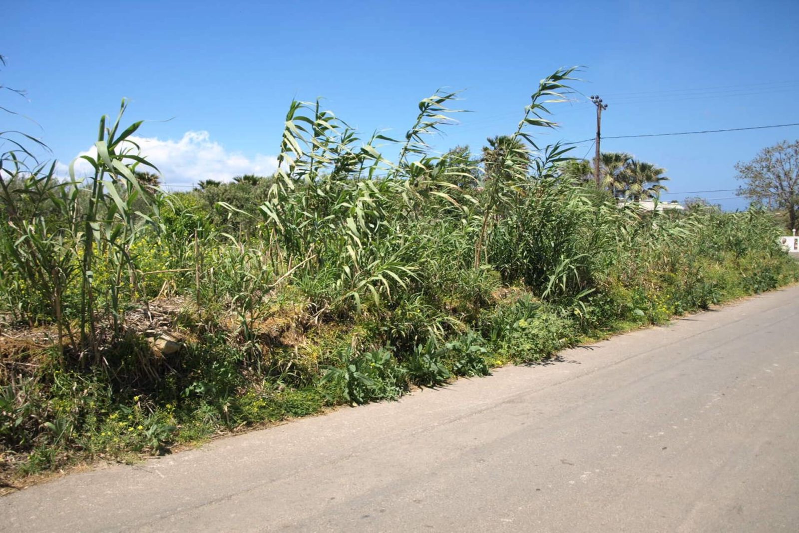 Crete Property. ID 03-1468